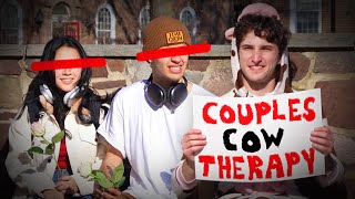 couples therapy (but im dressed as a cow)