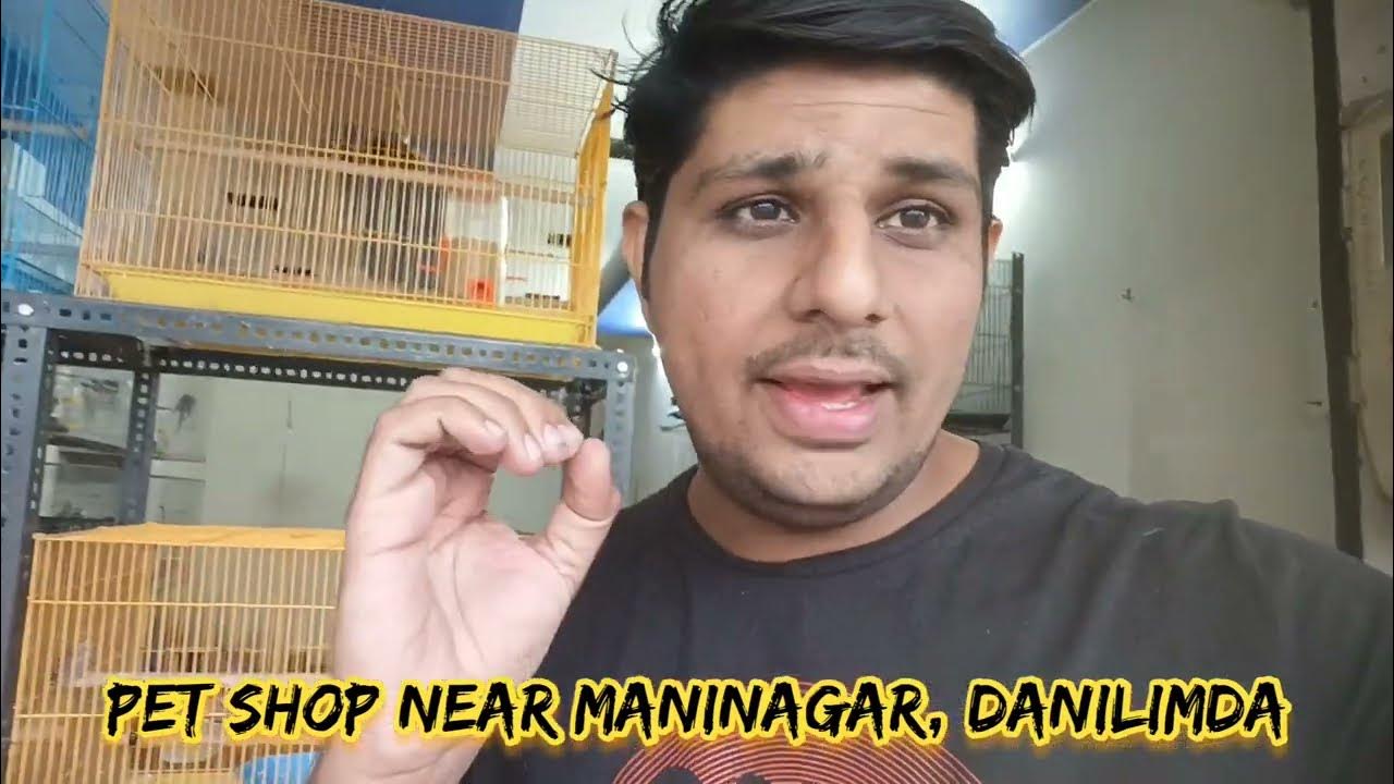 Pet Shop In Ahmedabad Budgies Finches Persian Cat Rabbits Etc pet-shop-in-ahmedabad-budgies-finches-persian-cat-rabbits-etc