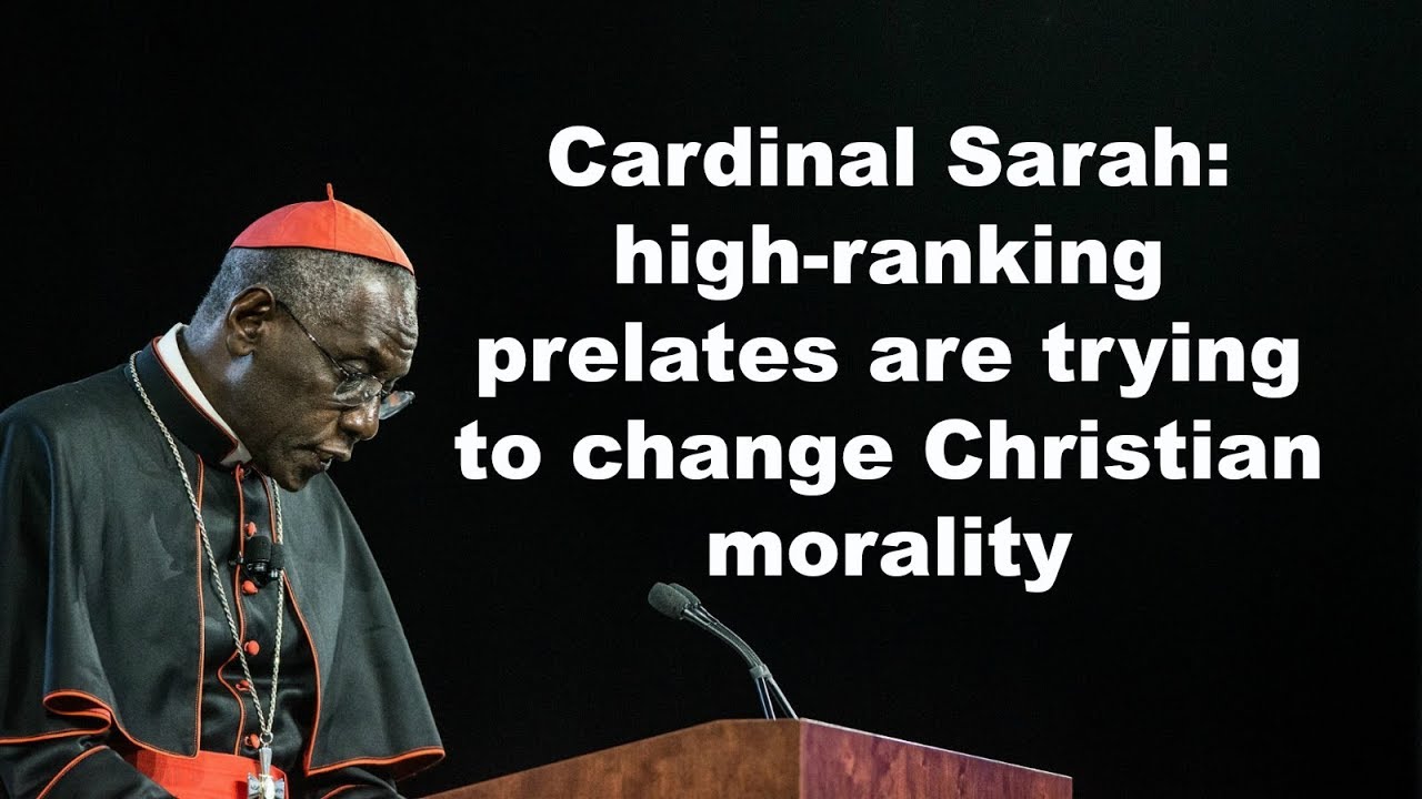 Cardinal Sarah Speaks On Christian Morality YouTube