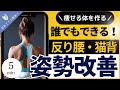 【40代からの姿勢改善】反り腰・猫背が変わる!キツくないトレーニングでも痩せる体を作る最強姿勢トレーニング