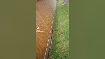 Installing a Snake Fence 🐍