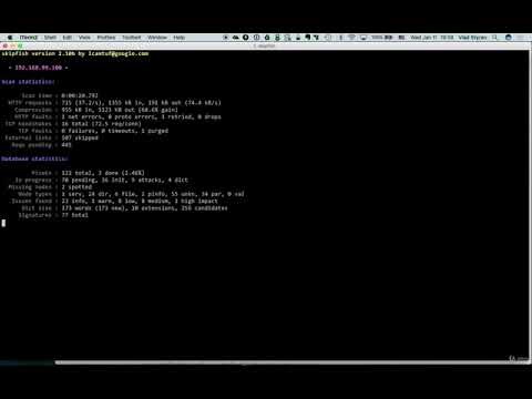 83  DEMO   Skipfish pt 1