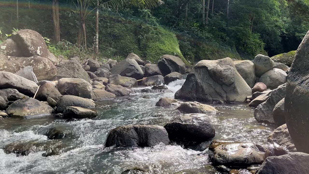Fall Asleep Fast with Calming Forest River Sounds Flowing Over Rocks in Green Nature 🌲🌊😴
