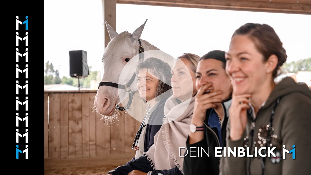 Die Ausbildung Coaching mit Pferden hat meine ganze Welt verändert!