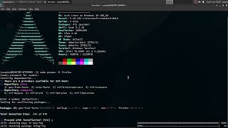 Linux user installing a web browser (real) (2022)