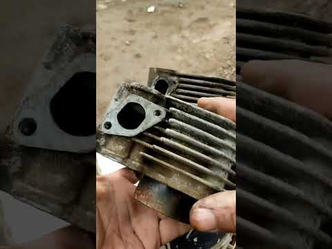 كيف تعرف البوشه اصلي