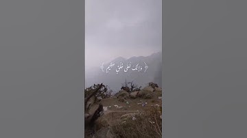 ايات من سورة القلم بصوت القارئ الشيخ أحمد النفيس.!
