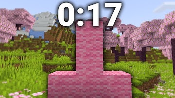 Minecraft Pink Upside Down T FWR (0:17)