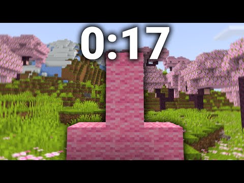 Minecraft Pink Upside Down T FWR (0:17)