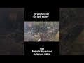 #aquarium #fishtank #aquascapelowtech #planetaquarium