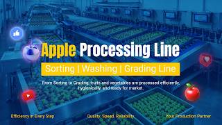 Automatic Apple Sorting and Grading Line |  Industrial Fruit and Vegetable Sorting and Grading Line