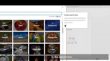 Adding pictures and clip art in PowerPoint