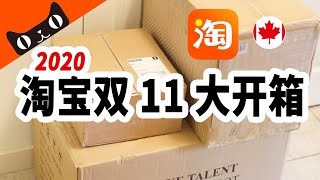 双11淘宝大开箱来啦~本地仓商品试用初体验 | 年度最大折扣来袭！本地直发直播间清空购物车 送IPHONE12 | 淘宝加拿大就在你身边~*合作视频*