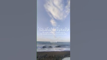 ﴿إن الله لا يخفى عليه شيئ...﴾ تلاوة خاشعة للقارئ الشيخ ياسر الدوسري ✨