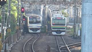 【JR東日本】【横須賀線/湘南新宿ライン】E217系0番台_1543S列車(普通 久里浜行)/E231-1000+E233-3000_2546Y列車(宇都宮線直通 普通 小金井行)　武蔵小杉駅 入線