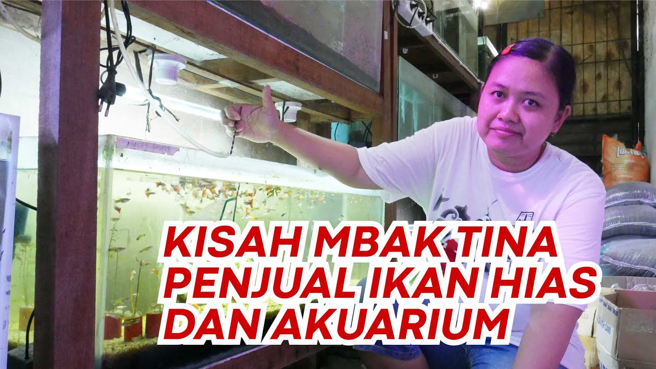 Kisah Mbak Tina, Pengusaha Ikan Hias dan Akuarium - YouTube