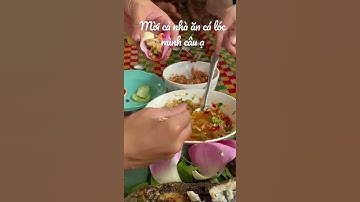 Câu cá lóc về nướng cuốn hoa sen #snakeheadfishing #thanhcauca