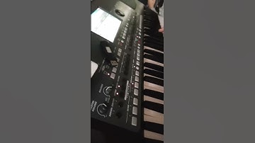Gipsy korg pa600 2019