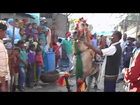 RIYAZ BANDA    HORSE DANCE