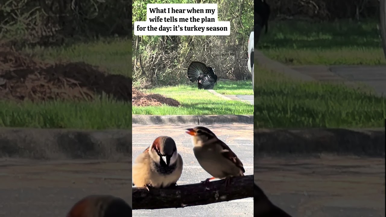 No need for conversation when turkey season is in #hunting #turkeyhunting #wildturkey #goldenturkey