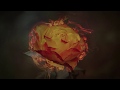 Capture de la vidéo Vancouver Sleep Clinic & Gxnxvs - Don't Matter To Me (Drake Cover)