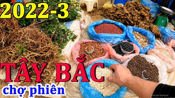 CHỢ PHIÊN TÂY BẮC - CỐC LY - BẮC HÀ  - LÀO CAI | MỘC MẠC CHỢ PHIÊN VÙNG CAO