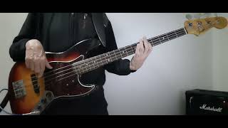 The Smartest Monkeys - XTC Bass Cover