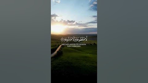 وأصحاب اليمين ما أصحاب اليمين | تلاوة هادئة للشيخ راشد الحليبة