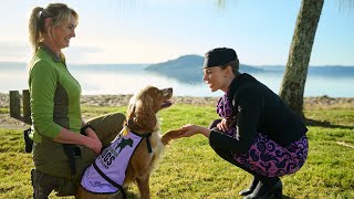 Air New Zealand's 'In-dog-tion' Video 🐾🎥