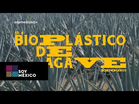 Ecogenios: Bioplástico de agave | Capítulo 04 | #SoyMéxico