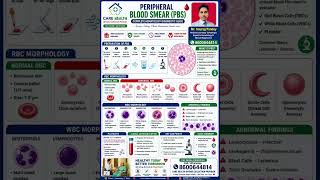 Peripheral Blood Smear (PBS) Explained | RBC, WBC Morphology | Complete Guide#mltstudents