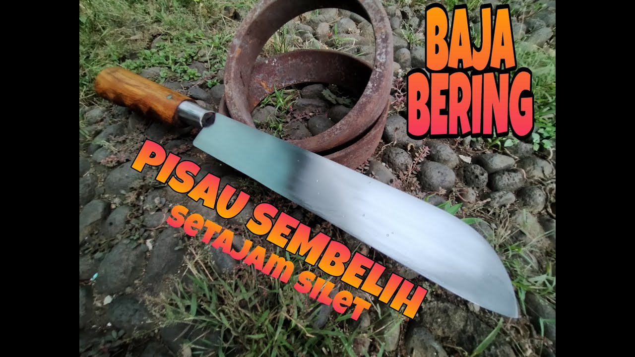  Pisau  sembelih 10 ekor sapi  tanpa asah pisau  penghabisan 