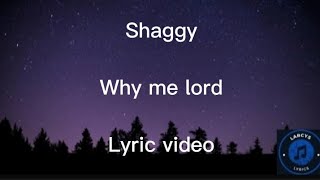 Video thumbnail of "Shaggy - Why me Lord lyric video"