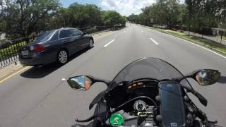 Damn Nature, You Scary