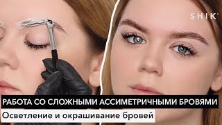 Работа со сложными асимметричными бровями / Осветление и окрашивание / SHIK