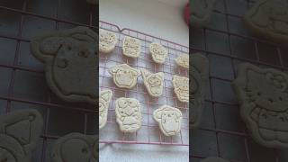Sanrio Cookies! #kawaii #sanrio #aesthetic #hellokitty #cinnamoroll #mymelody #sanrioaesthetic