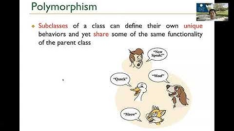 CS3560 Object-Oriented Design and Programming - 05