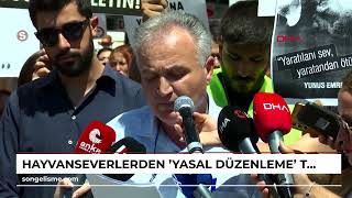 Hayvanseverlerden 'yasal düzenleme' tepkisi