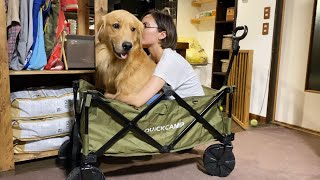 待ちきれず室内でキャンプ道具を広げ始め遊ぶジョイ家