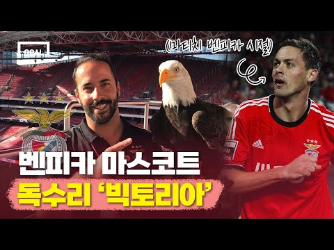 &amp;quot;<strong>마티치</strong> 손가락을 깨물었죠..&amp;quot; 벤피카 마스코트 &amp;#39;빅토리아&amp;#39;를 아시나요?