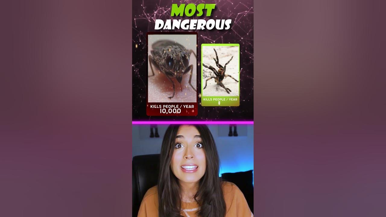 The answer will SHOCK you... 😳 YouTube