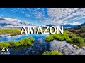 FLYING OVER  AMAZON( 4K UHD )- Relaxing Music Along With Beautiful Nature Videos 4K Video Ultra HD