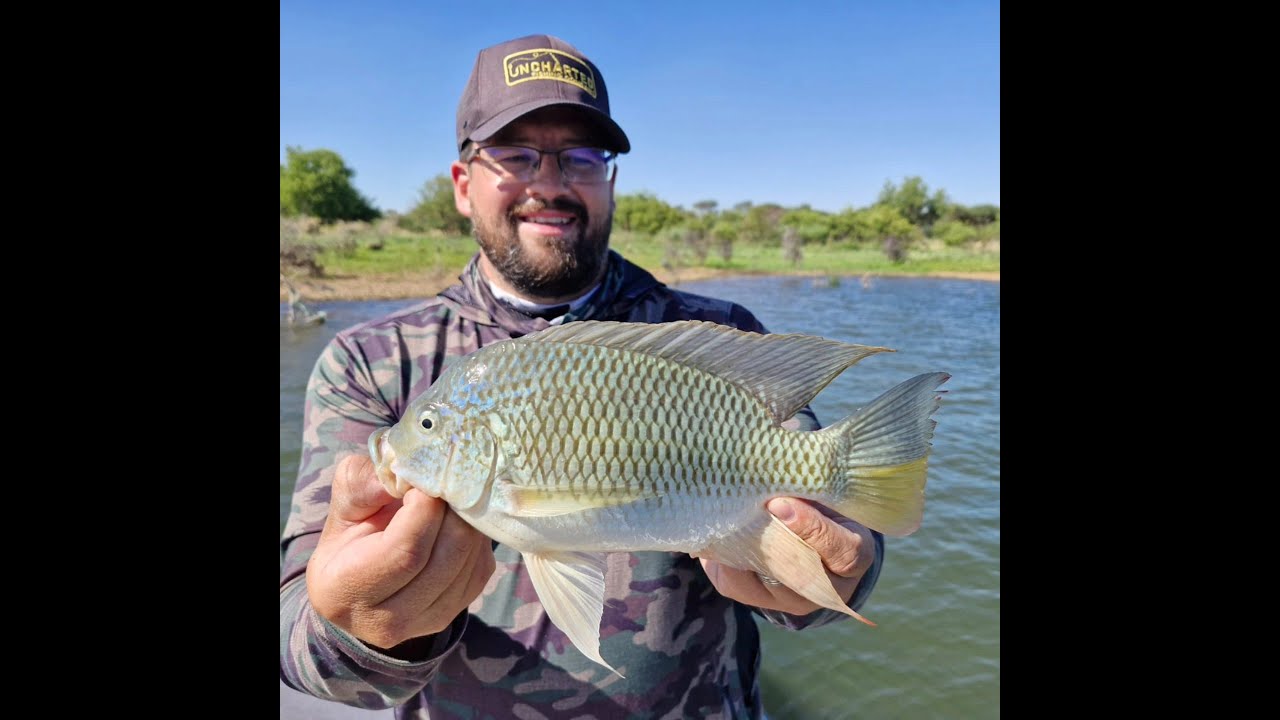 Artlure Angling with Safari Fishing at Renosterkop Dam