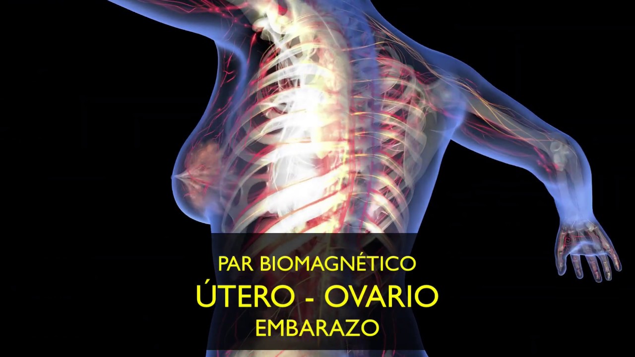 UTERO OVARIO PAR BIOMAGNÉTICO BIOMAGNETISMO 2020 - YouTube