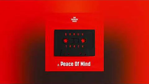 Dip Doundou Guiss - Peace Of Mind