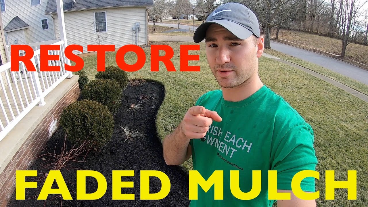 How to bring back color of mulch and keep it in place at the same time - Mulch  Glue
