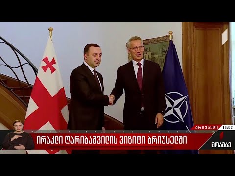 ირაკლი ღარიბაშვილის ვიზიტი ბრიუსელში