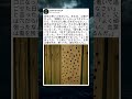 一度ついた跡は、なかなか消えない。