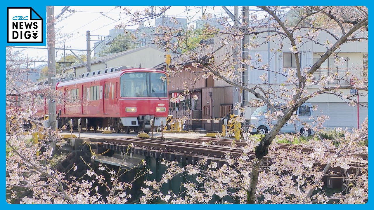 ピンクのサクラのそばを赤い電車が走り抜ける “春限定”のシャッター