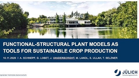 Andrea Schnepf, Guillaume Lobet & Jan Vanderborght – Functional-structural plant models